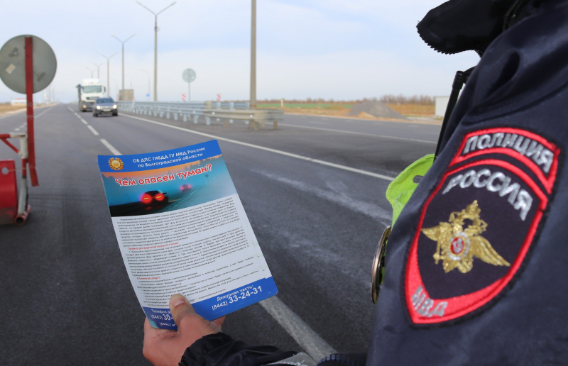 IMG_7217-800x600.jpg IMG_7217-800x600.jpg