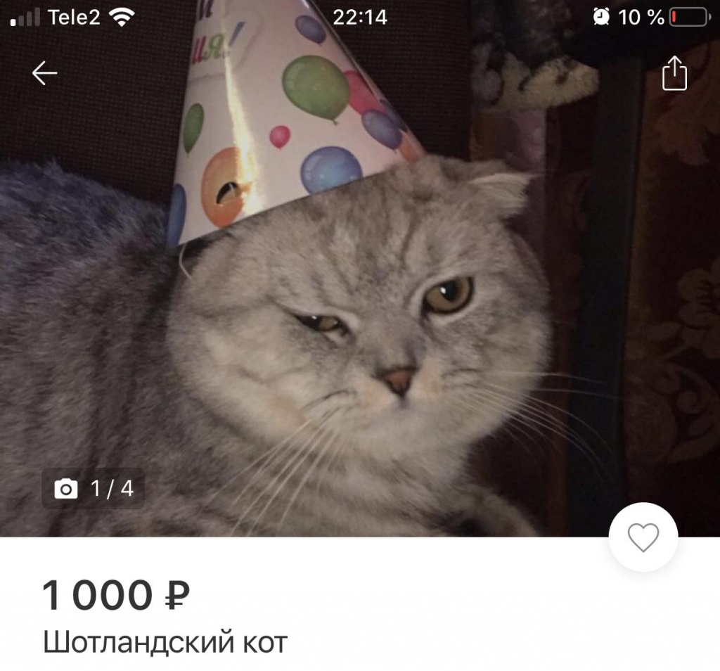 WhatsApp Image 2019-12-12 at 12.16.08.jpeg