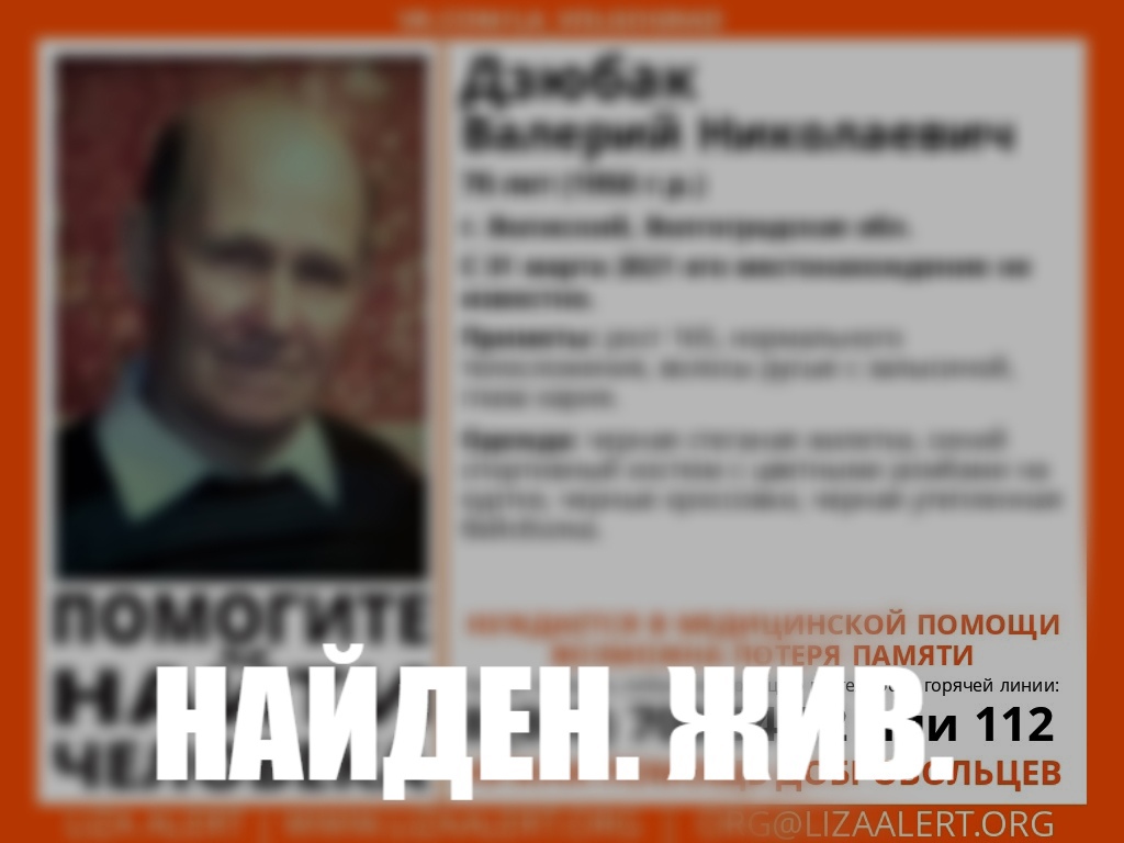 лиза алерт.jpg