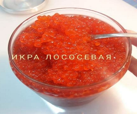 IMG-20190717-WA0032.jpg