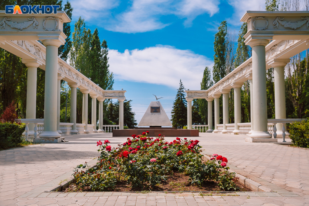 IC9A7244.jpg IC9A7244.jpg