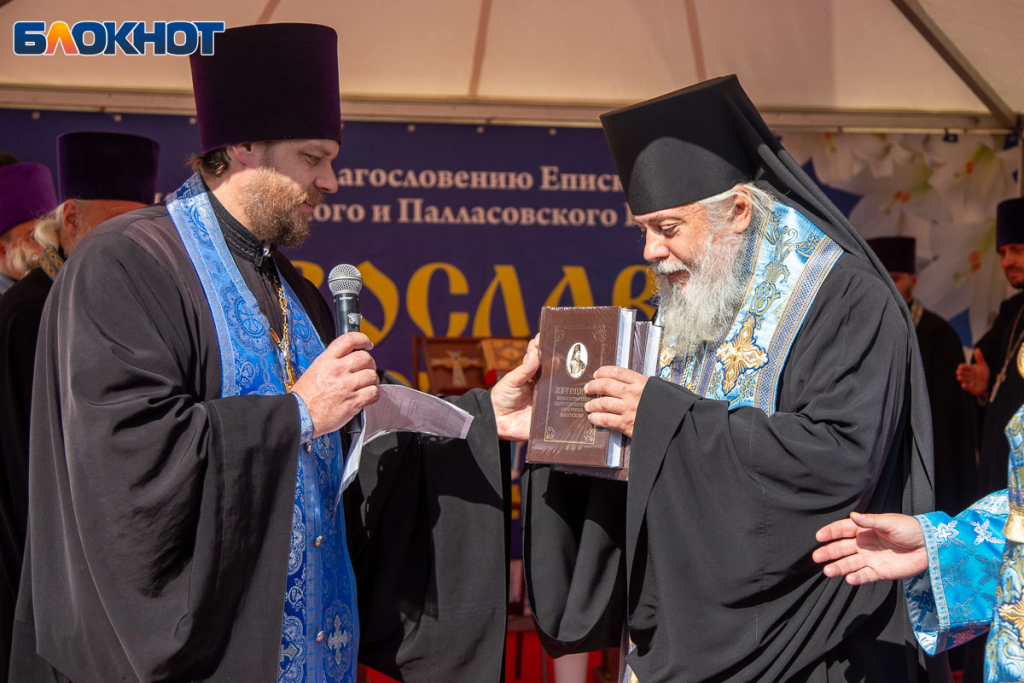 Без названия (5).png