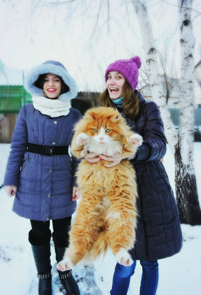 котопёс Степан.jpg