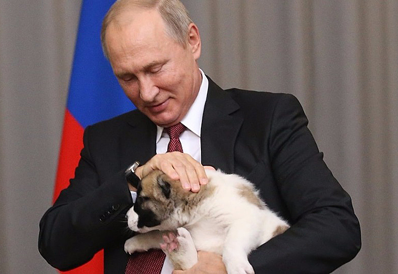 Alabai-i-Putin1.jpg