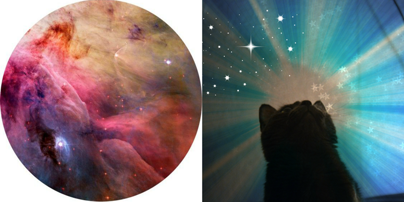 PicMonkey Collagebvbbbb.png