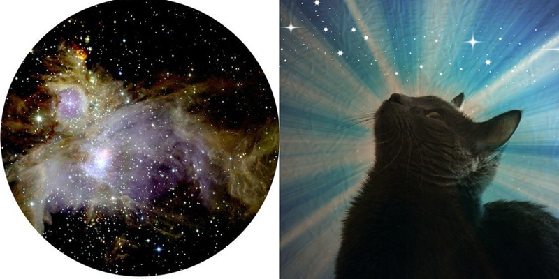 PicMonkey Collagekklkjuiu.jpg