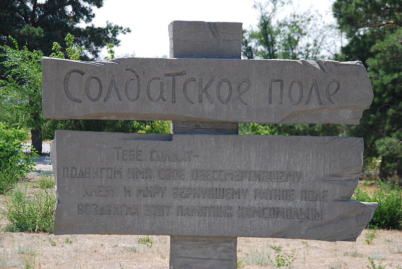 Солдатское_поле_в_Городищенском_районе.jpg