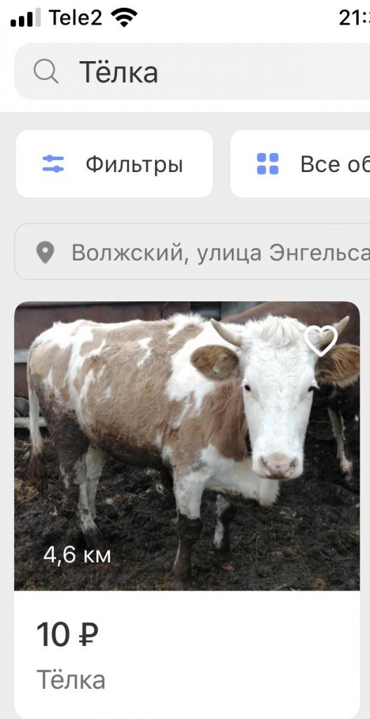 WhatsApp Image 2019-12-12 at 11.08.39.jpeg