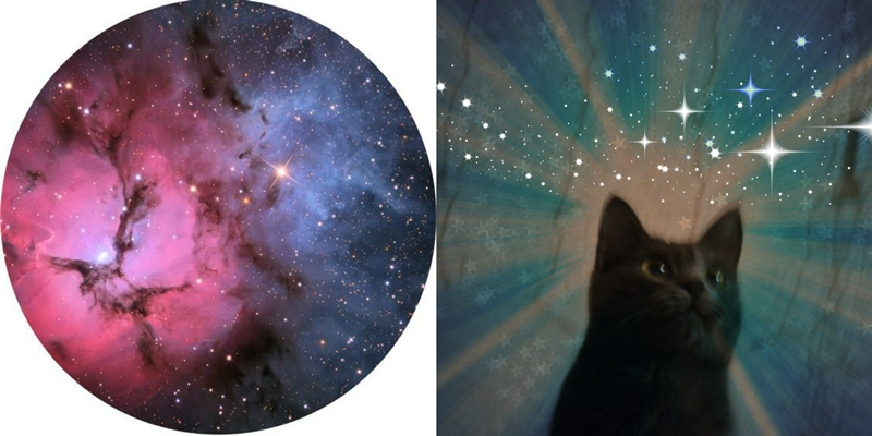 PicMonkey Collagehhghhghh.png