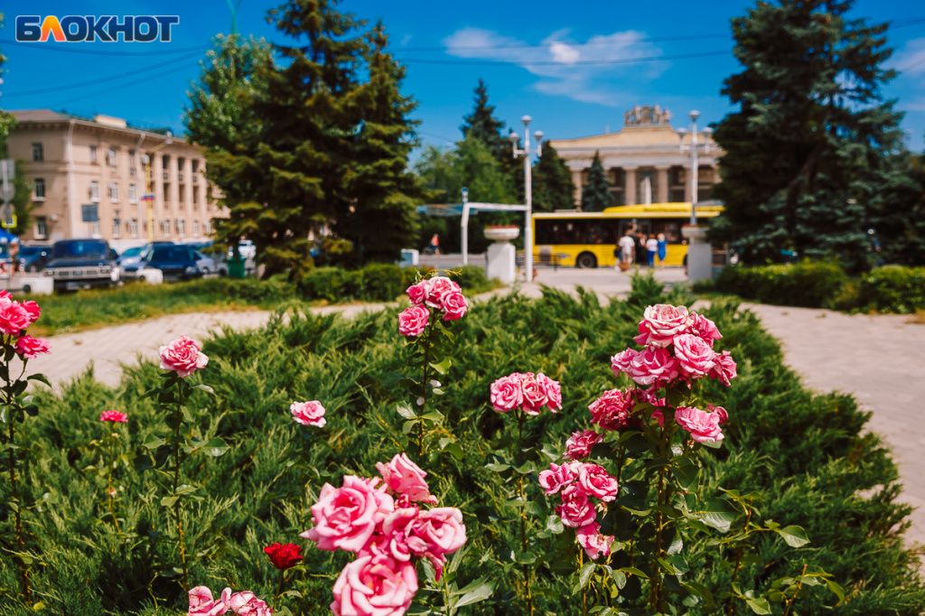 IC9A7227.jpg IC9A7227.jpg