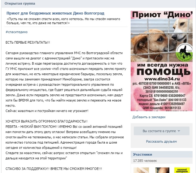 дино 2.jpg